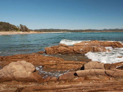 Shelly Beach Picnic Area - Moruya Heads - Accommodation Bookings 1