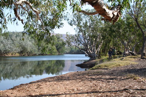 Silent Grove - Accommodation Bookings 0