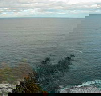 Snapper Point Lookout - Accommodation Bookings