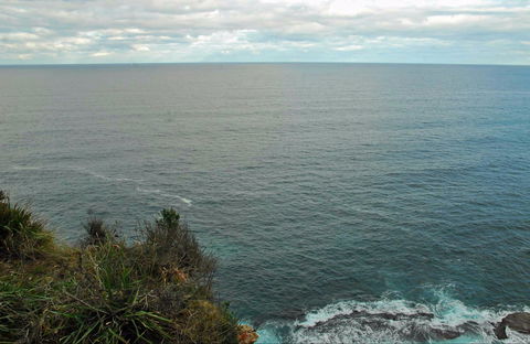 Snapper Point Lookout - Accommodation Bookings 0