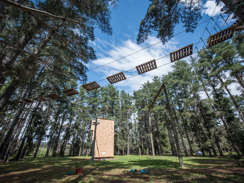 Southern Adventure Hub - Accommodation Bookings 0