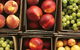Southern Food Trail - thumb 0