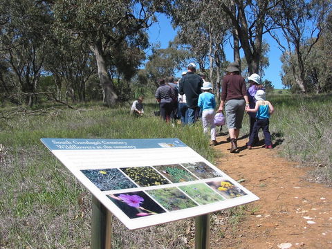 South Gundagai Woodlands Walk - Accommodation Bookings 0