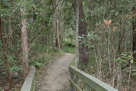 Springwood Conservation Park - Accommodation Bookings 0