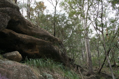 Springwood Conservation Park - Accommodation Bookings 2