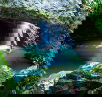 Springbrook - Accommodation Bookings