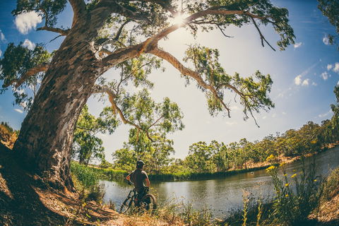 Sturt Gorge Recreation Park - Accommodation Bookings 0