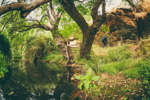 Sturt Gorge Recreation Park - Accommodation Bookings 1