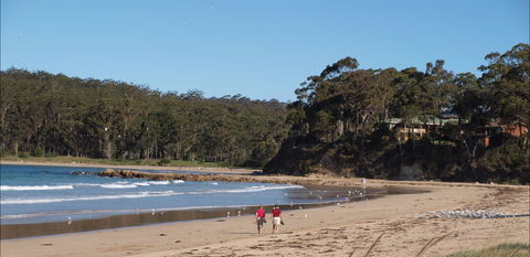 Surf Beach Batemans Bay - Accommodation Bookings 1