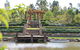 The Bath House Garden - thumb 0