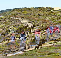 The Sole Walk at Hillocks Drive - Accommodation Bookings