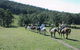 Timbertops - Horse Riding - thumb 0