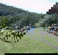 Timbertops - Horse Riding - Accommodation Bookings