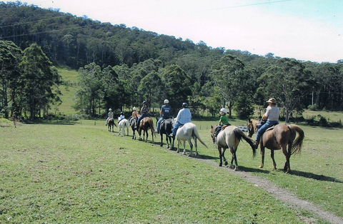 Timbertops - Horse Riding - Accommodation Bookings 0