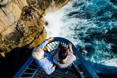 Torndirrup National Park - Accommodation Bookings 1