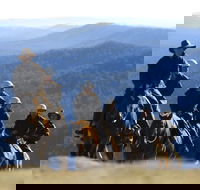 Victoria's High Country - Accommodation Bookings
