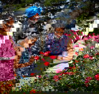 Victoria State Rose Garden at Werribee Park - Accommodation Bookings
