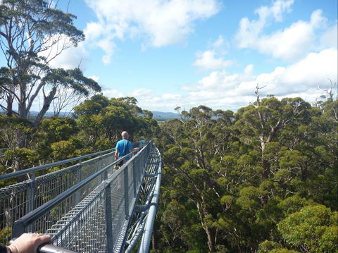 Walpole-Nornalup National Park - Accommodation Bookings 0