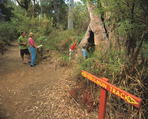 Walpole-Nornalup National Park - Accommodation Bookings 1