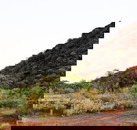 Whyalla Conservation Park - Accommodation Bookings