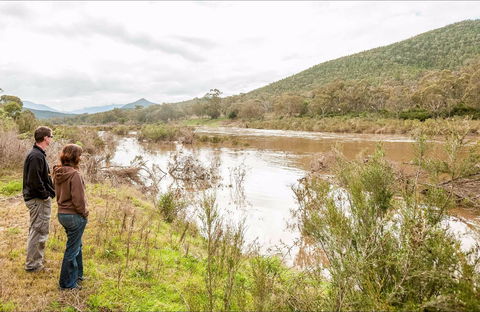 Willis Picnic Area - Accommodation Bookings 0