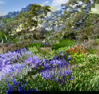 Wittunga Botanic Garden - Accommodation Bookings