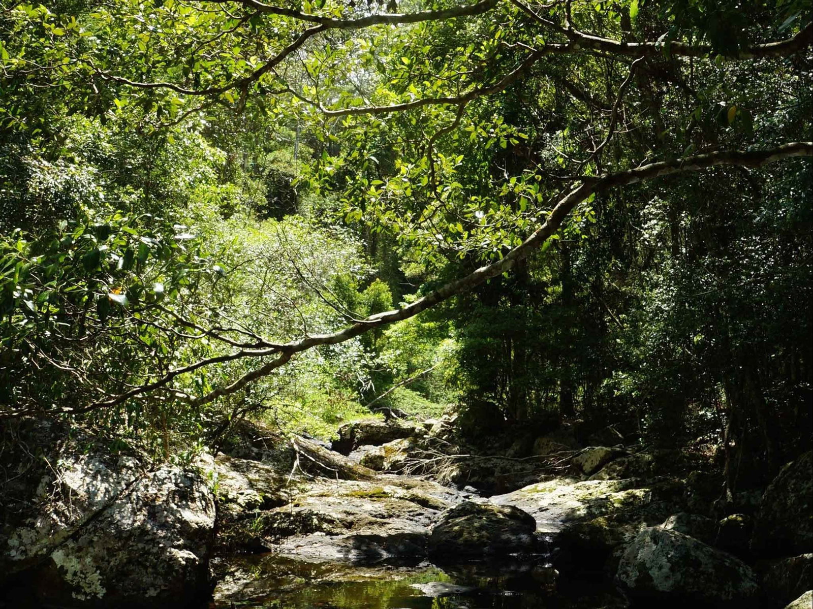 Witta QLD Accommodation Bookings