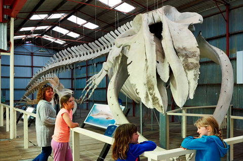 Albany's Historic Whaling Station - Accommodation Bookings 2