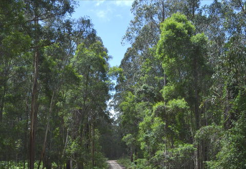 Alfred National Park - Accommodation Bookings 1