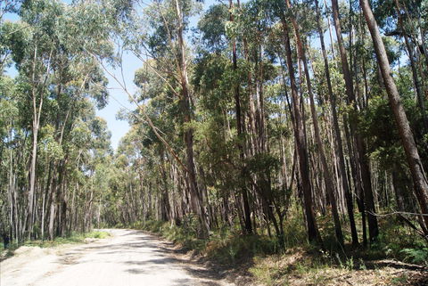 Alfred National Park - Accommodation Bookings 2