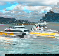 Apex Camps Magnetic Island Group Accommodation Activities and Events - Accommodation Bookings