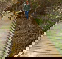 Balcombe Creek Estuary Boardwalk - Accommodation Bookings