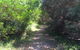 Bluff Track Fitness Trail - thumb 2