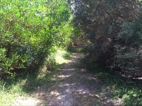 Bluff Track Fitness Trail - Accommodation Bookings 2