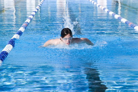 Bomaderry Aquatic Centre - Accommodation Bookings 0