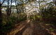 Booderee National Park: Munyunga Waraga Dhugan Walking Trail - thumb 0