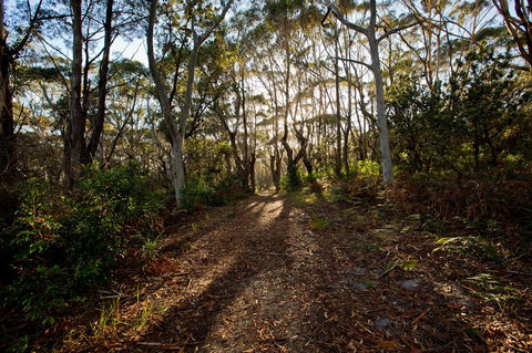 Booderee National Park: Munyunga Waraga Dhugan Walking Trail - Accommodation Bookings 0