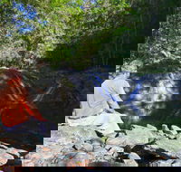 Booloumba Falls Walk Conondale National Park - Accommodation Bookings