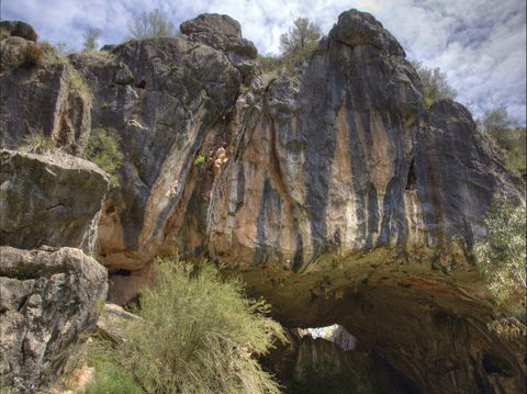 Borenore Karst Conservation Reserve - Accommodation Bookings 0