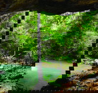 Buderim