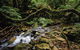 Budderoo National Park - thumb 0