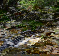 Budderoo National Park - Accommodation Bookings