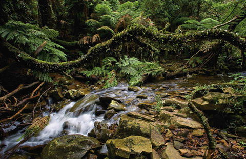 Budderoo National Park - Accommodation Bookings 0
