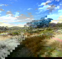 Bullocks walking track - Accommodation Bookings