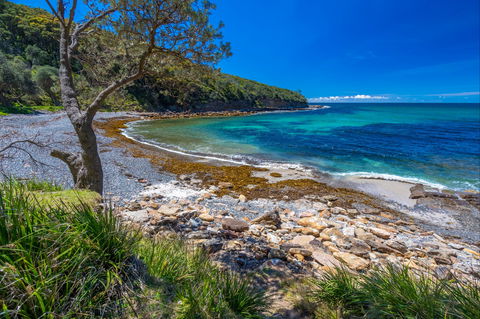 Burns Bay - Accommodation Bookings 0