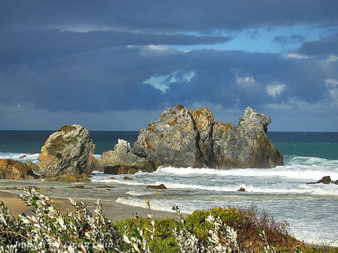 Camel Rock - Accommodation Bookings 2