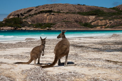 Cape Le Grand National Park - Accommodation Bookings 0