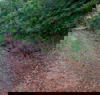 Cascade mountain bike trail - Accommodation Bookings