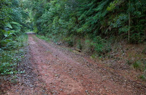 Cascade Mountain Bike Trail - Accommodation Bookings 0