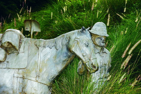 Centenary Park - Accommodation Bookings 0